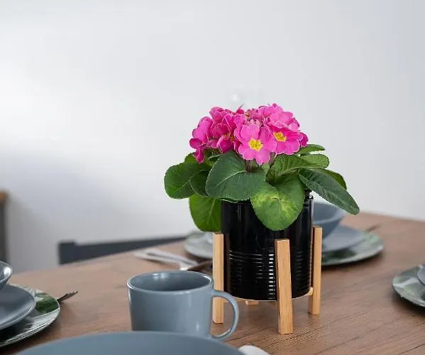 Chlapowska Przystan Ferienhaus Władysławowo